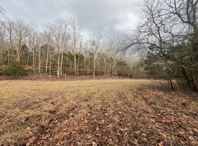 502 Rogues Fork Rd, Westmoreland, TN 37022 - photo 6