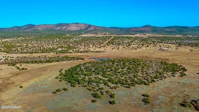 20251103063418865146000000-o