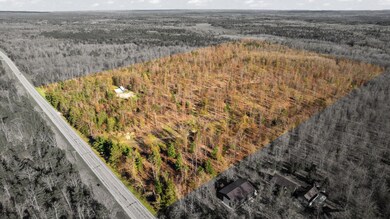 3-web-or-mls-DJI_0275