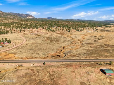 Lot 35 the Ranch at Alpine -- unit 35, Alpine, AZ 85920 - photo 6