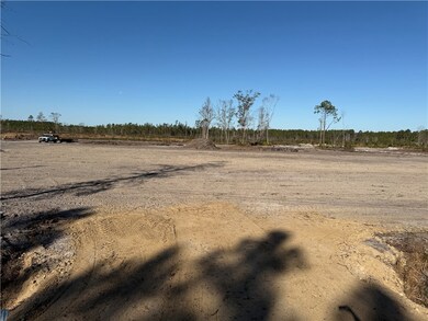 Lot 3 Smith Ln, Waycross, GA 31503 - photo 6