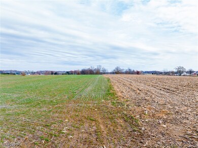 0 S Kohler Rd unit 5172588, Apple Creek, OH 44606 - photo 3