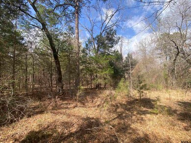 15292 Big Oak Bay Rd, Tyler, TX 75707 - photo 4