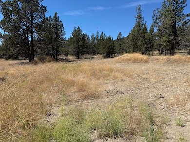 10164 SE Sundown Ln, Prineville, OR 97754 - photo 3