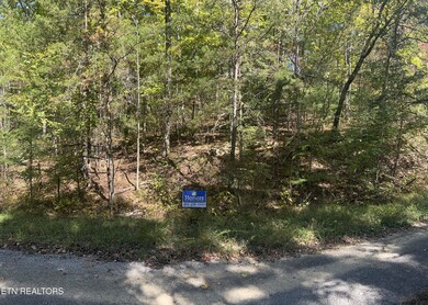 lot 164road front picture