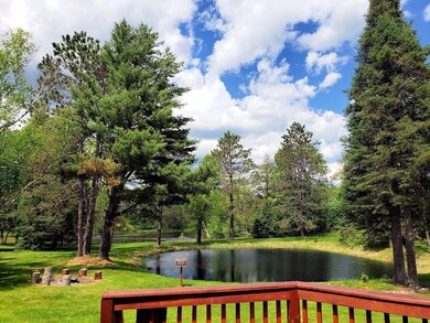 pond view from deck