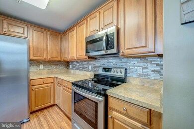 42276 Terrazzo Terrace, Stone Ridge, VA 20105 - photo 4