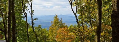232 Andes Ridge, Ellijay, GA 30540 - photo 2