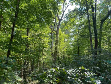 1 Treece Ln, Adamsville, TN 38310 - photo 6