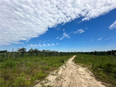 210 Ridge Rd, Seale, AL 36875 - photo 6