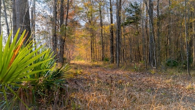 0000 Pettey Rd, Forest, MS 39074 - photo 2