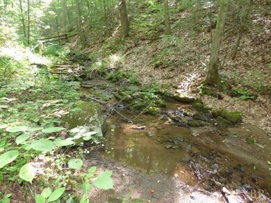 0 Pedlar River Rd unit 294062, Amherst, VA 24521 - photo 5