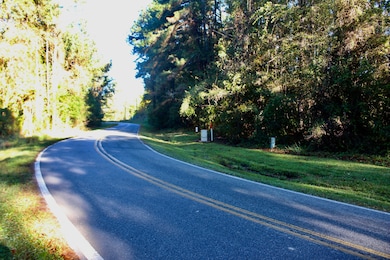 0 Statham Lake Front, Cobb, GA 31735 - photo 4