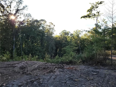 TR 2 Old Northcutt Rd, Ellijay, GA 30540 - photo 6