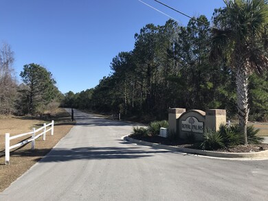 196 Royal Palms Way, Holly Ridge, NC 28445 - photo 2