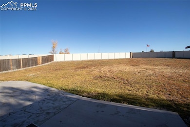 6806 Red Cardinal Loop, Colorado Springs, CO 80908 - photo 6