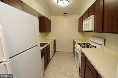1039 Michigan Ave NE unit 1039, Washington, DC 20017 - photo 3