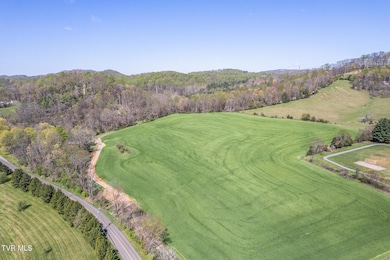 Tbd Wallace Pike, Bristol, VA 24202 - photo 2