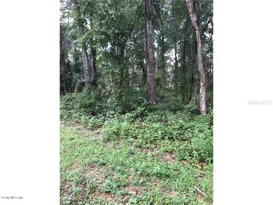 4972 N Dewey Way, Hernando, FL 34442 - photo 3