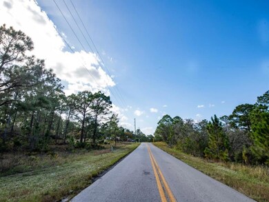 207 Sunnyside Dr, Lake Placid, FL 33852 - photo 7