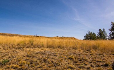 1106 N Courtney Ct, Medical Lake, WA 99022 - photo 6