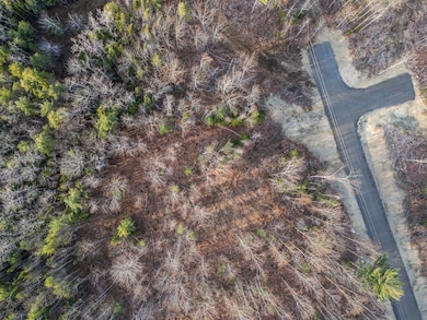 Lot 5 Pine Hill Rd, Palermo, ME 04354 - photo 3