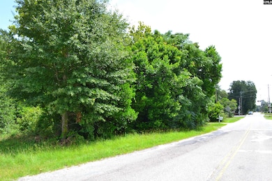 0 Hendrix St, Leesville, SC 29070 - photo 3