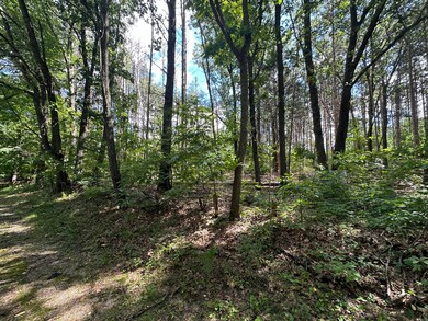 Back of Property