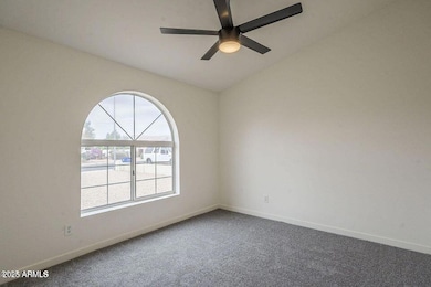 3203 E Dover St, Mesa, AZ 85213 - photo 6