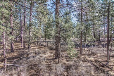 0 SW Ponderosa St unit 201800808, Bend, OR 97702 - photo 7