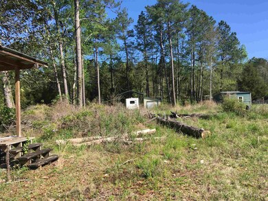 16563 Gantt Lake Rd, Dozier, AL 36028 - photo 4