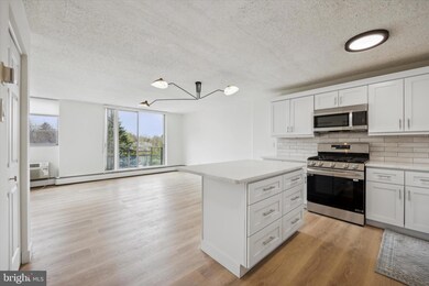 Radnor House unit 314, Bryn Mawr, PA 19010 - photo 5