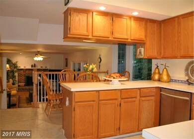 11207 Minstrel Tune Dr, Germantown, MD 20876 - photo 7