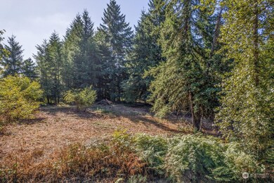110 Rawlins Rd, Toledo, WA 98591 - photo 2