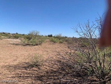 11 Acres N Washington Ave, Douglas, AZ 85607 - photo 7