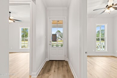 707 Iberia St, Youngsville, LA 70592 - photo 7