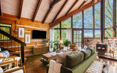 314 Walnut Mountain Rd, Ellijay, GA 30536 - photo 7