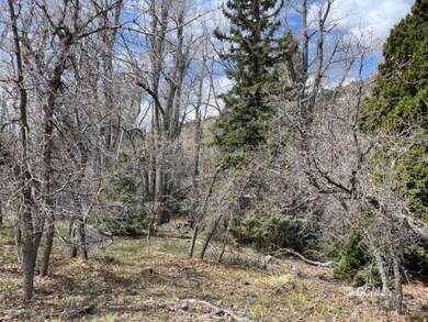 317 Sunflower, Duck Creek Village, UT 84762 - photo 7