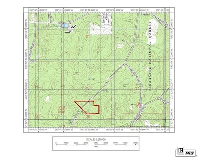 000 State Route 520 unit est 52 acres, Homer, LA 71040 - photo 2