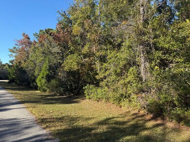 129 Water Oaks Way, Apalachicola, FL 32320 - photo 4