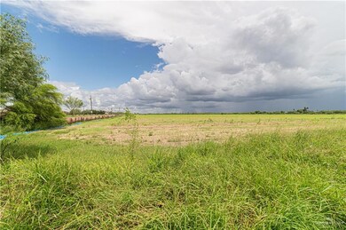 810 N 11th St, Donna, TX 78537 - photo 4