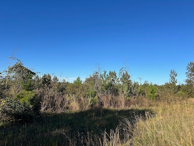 000 Homer Cooper Rd, Marshall, TX 75672 - photo 3