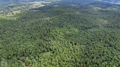 40 Bruce Mitchell Rd, Ravenden Spring, AR 72460 - photo 6