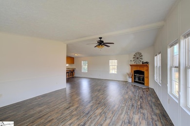 3517 River Rd, Piedmont, SC 29673 - photo 3