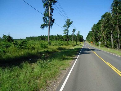 Photo.