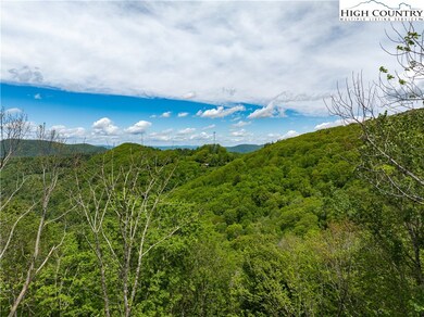 EC1 Eagle Crest Trail, Elk Park, NC 28604 - photo 5