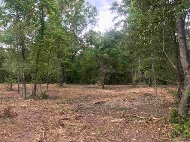 2420 Dennis Rd, Macon, GA 31220 - photo 7