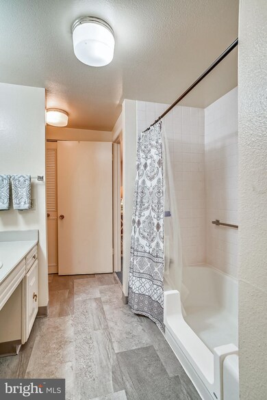 3576 Chiswick Ct unit 341A, Silver Spring, MD 20906 - photo 5