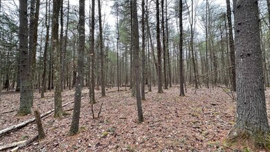 0 Long Ridge Rd unit PWBPW240661, Hawley, PA 18428 - photo 3