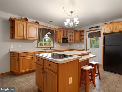 4611 Remount Rd, Front Royal, VA 22630 - photo 4